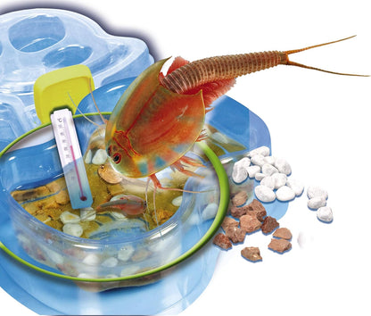 Clementoni Galileo Lab – Original Triops Nachfüll-Set, Züchten & Beobachten von Urzeitkrebsen, Spielzeug für Kinder ab 8 Jahren, Biologie zum Anfassen, für kleine Forscher von Clementoni 69935