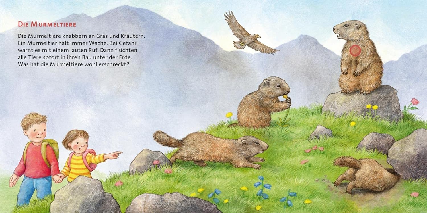 Hör mal (Soundbuch): In den Bergen: Zum Hören, Schauen und Mitmachen ab 2 Jahren. Mit echten Tierstimmen und Naturgeräuschen