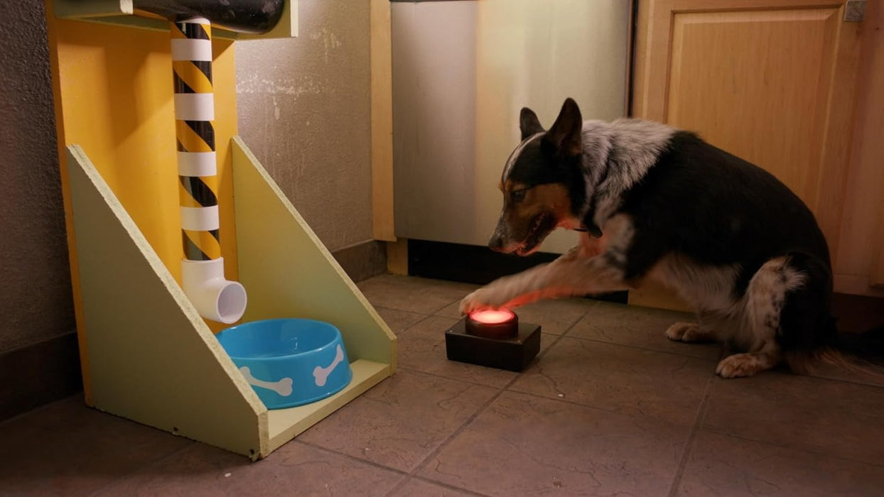 Hunde - Allein zu Haus