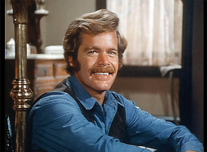 Die Leute von der Shiloh Ranch - Staffel 9 (Fernsehjuwelen)