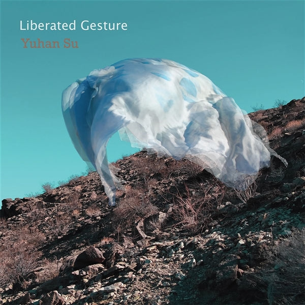 Liberated Gesture
