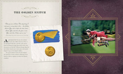 Golden Snitch 3D Wood Model And Book