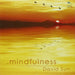 David Sun - Mindfulness