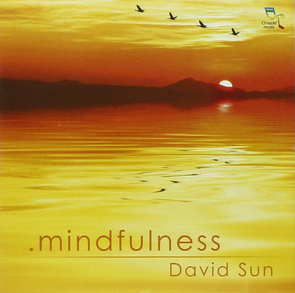 David Sun - Mindfulness