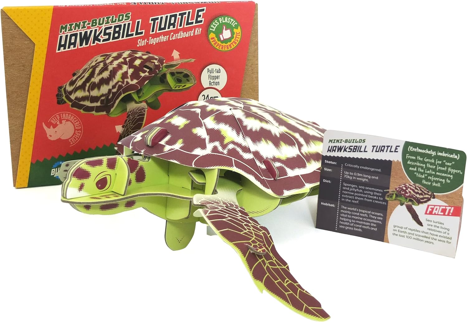 Build Your Own Moving Hawksbill Turtle - Pull Tab Moving Flipper Action - Eco Friendly Cardboard Craft Kit - Ages 8+