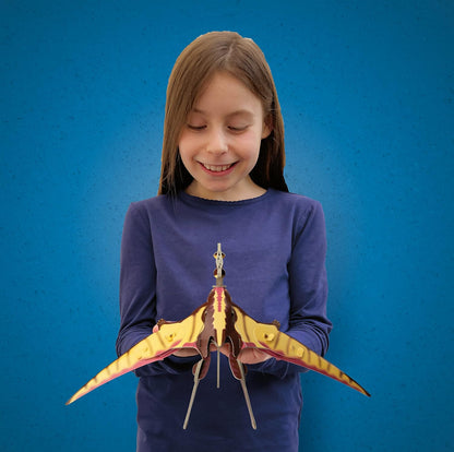 Build Your Own Moving Pteranodon - Pull Tab Flapping Wing Action - Eco Friendly Cardboard Craft Kit - Ages 8+