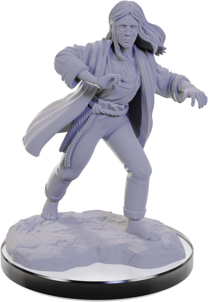WizKids D&D Nolzur's Marvelous Miniatures: Reborn Paladin & Warlock Dungeons and Dragons Unpainted Miniatures