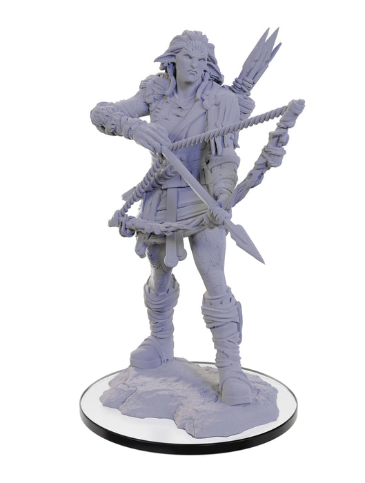 WizKids Pathfinder Deep Cuts: Hölzerne riesige Pathfinder Schlachten unbemalte Miniaturen
