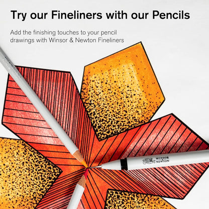 Winsor & Newton Studio Collection Colouring Pencils, 24 Soft Core Drawing Pencils, Premium Artist Quality, for Sketching, Blending, Shading and Layering 24 Count (Pack of 1)