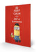 Pyramid International Minions (Keep Calm) Holzwand-Kunst, Holz, Mehrfarbig, 40 x 2.5 x 59 cm