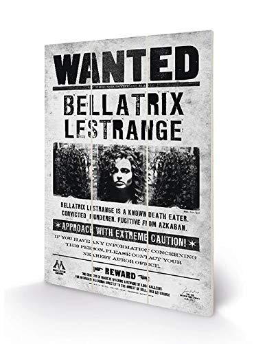 Pyramid Harry Potter - Bellatrix Wanted - Impression sur Bois 20x29.5