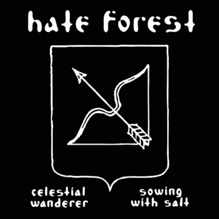 Celestial Wanderer/Sowing With Salt