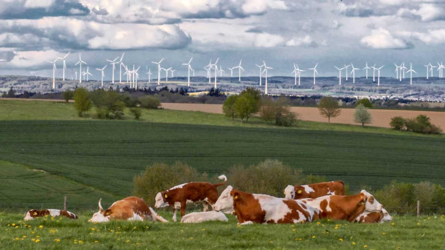 End of Landschaft - Wie Deutschland das Gesicht verliert