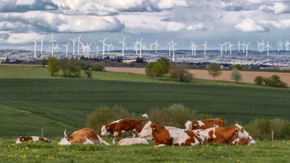 End of Landschaft - Wie Deutschland das Gesicht verliert