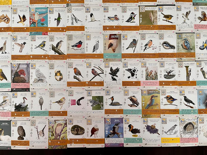 Stonemaier Games, Wingspan Fan Art Pack, Board Game Accessory, Ages 14+, 1-5 Players, 40-70 Minutes Playing Time