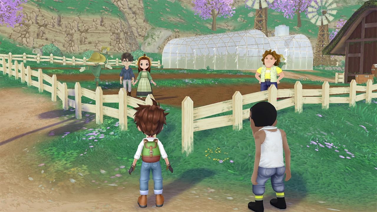 Story of Seasons : A Wonderful Life
