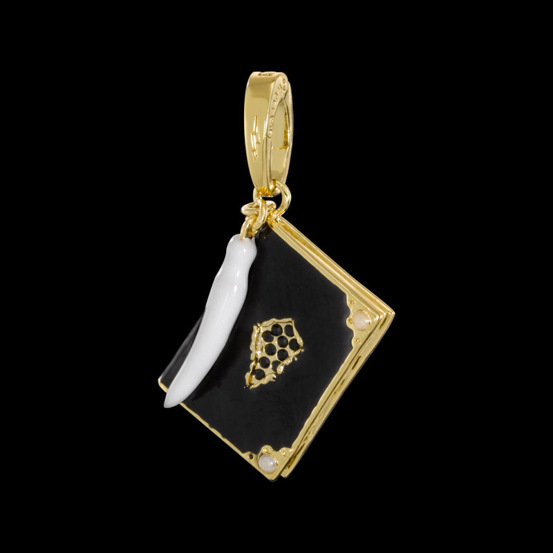 Noble Collections- Harry Potter Sammler-Deko, personalisierbar, Mehrfarbig, 53649