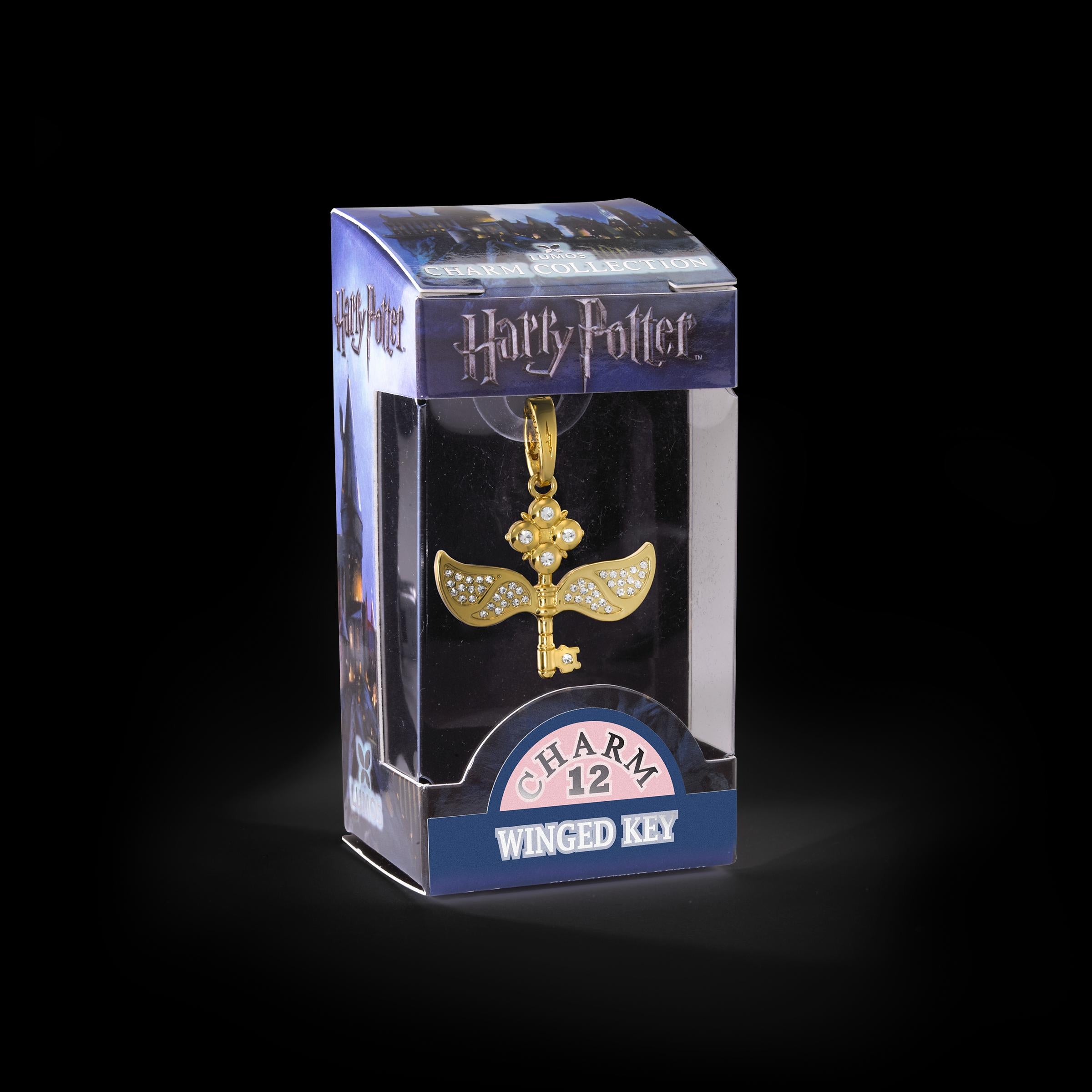 The Noble Collection Lumos Charm 12 Winged Key