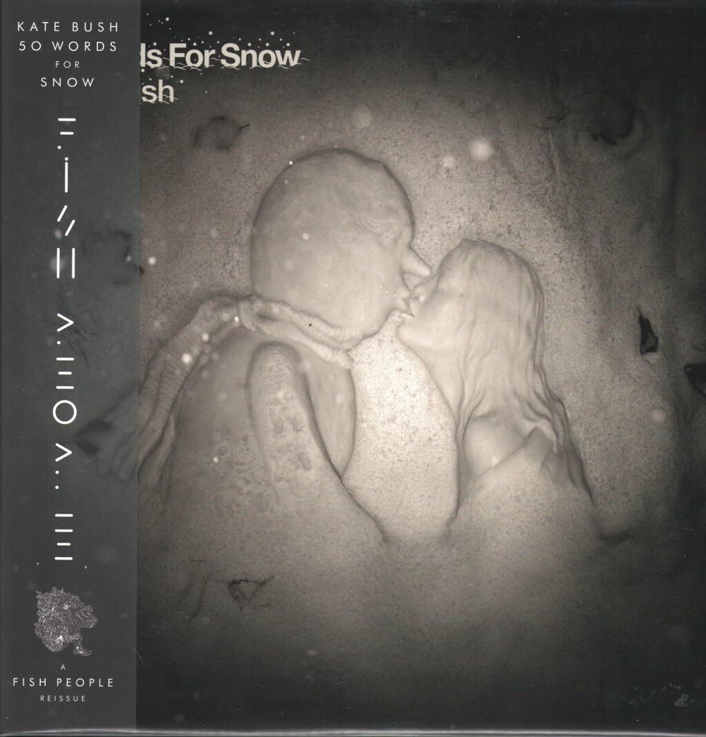 50 Words for Snow