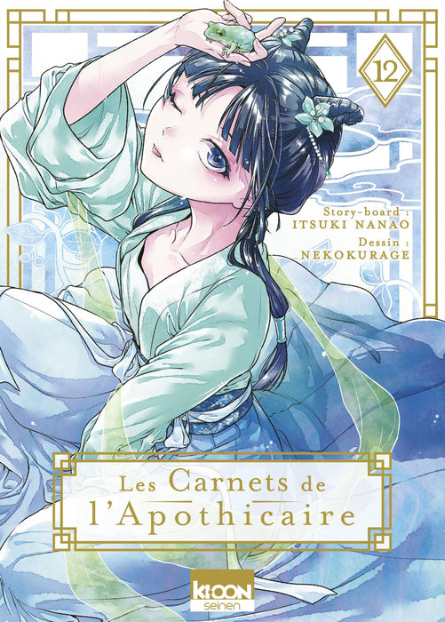 LES CARNETS DE LAPOTHICAIRE - Tome 12