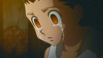 Hunter x Hunter .. Vol.12, 2 Blu-ray