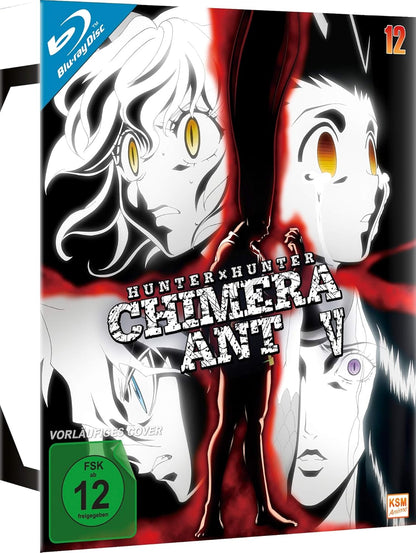 Hunter x Hunter .. Vol.12, 2 Blu-ray