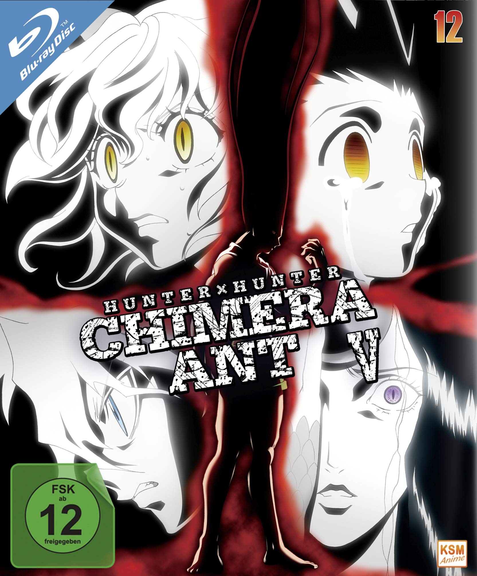 Hunter x Hunter .. Vol.12, 2 Blu-ray