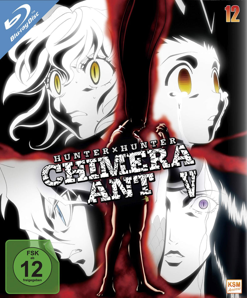 Hunter x Hunter .. Vol.12, 2 Blu-ray