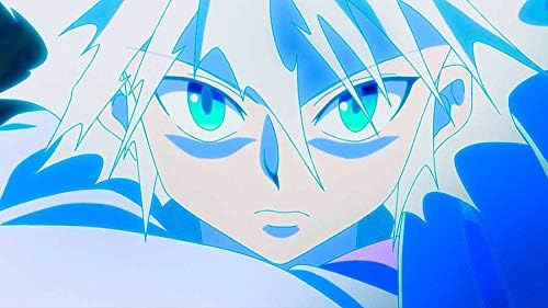 HUNTERxHUNTER - Volume 13 (Episode 137-148) (2 DVDs