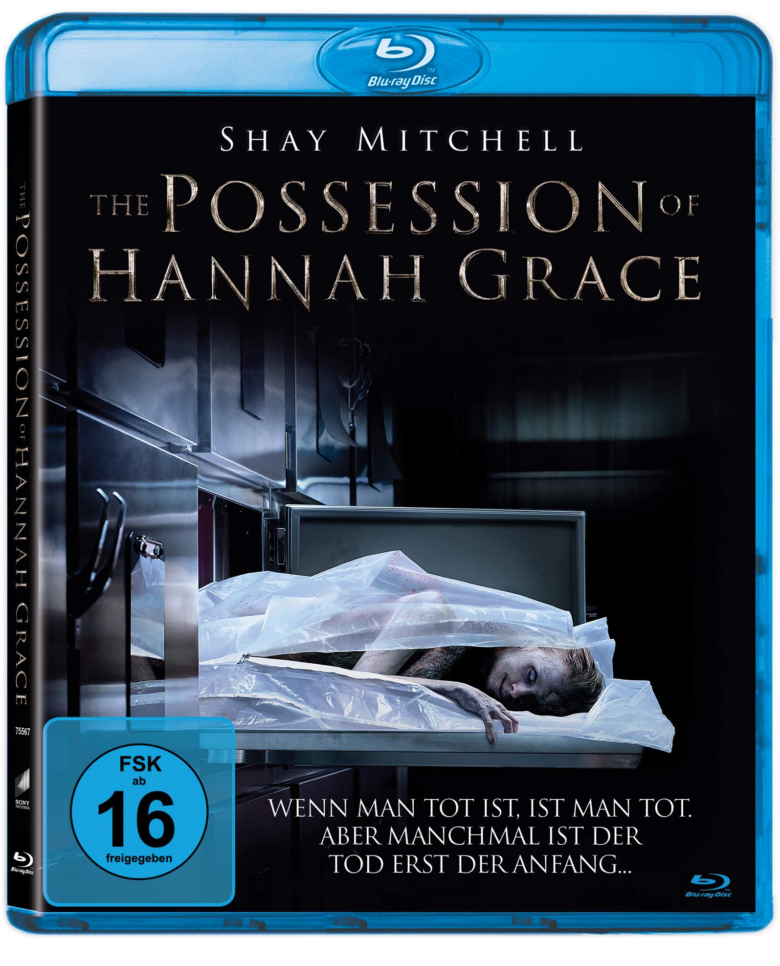 The Possession of Hannah Grace (Blu-ray