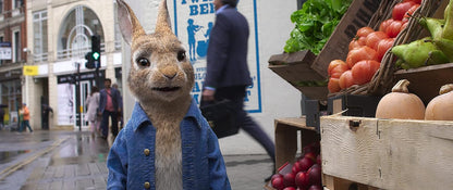 Peter Hase 2 - Ein Hase macht sich vom Acker (4K Ultra HD) (+ Blu-ray 2D)