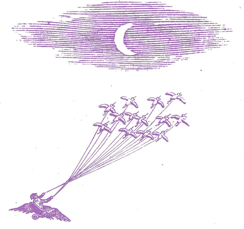 Migration Magic