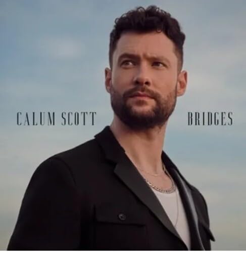 BRIDGES (LP)