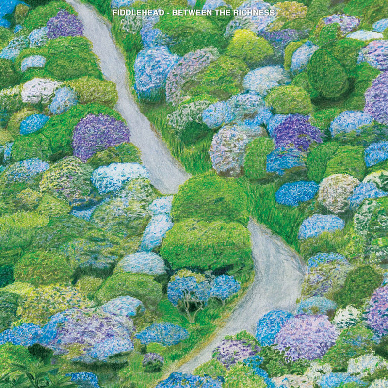 Between the Richness (Violet