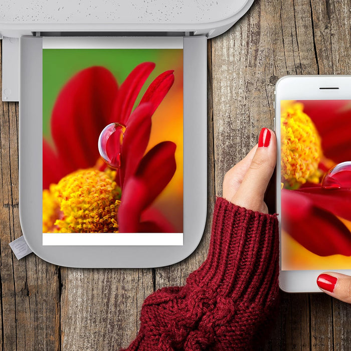 HP Sprocket Studio Plus 4 x 6” Photo Paper and Cartridges (Includes 108 Sheets and 2 Cartridges) – Compatible only with HP Sprocket Studio Plus Printer, White