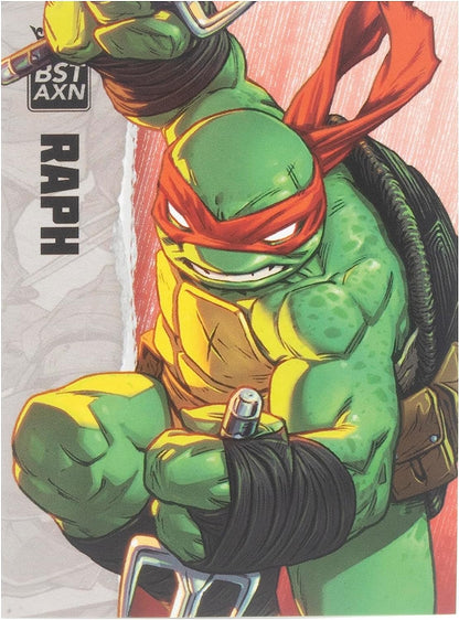 Teenage Mutant Ninja Turtles BST AXN Raphael IDW Inspired Comic Heroes 5-inch Action Figure