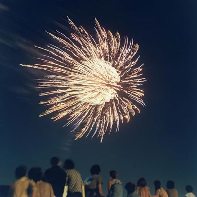 The Orchestra in the Sky (Tokyo & Kobe Recordings