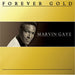 Forever Gold: Marvin Gaye