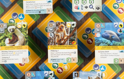 Capstone Games Ark Nova: Marine Worlds - Expansión de juego de mesa de estrategia - Introduce animales marinos en tu zoológico, 1-4 jugadores, a partir de 12 años