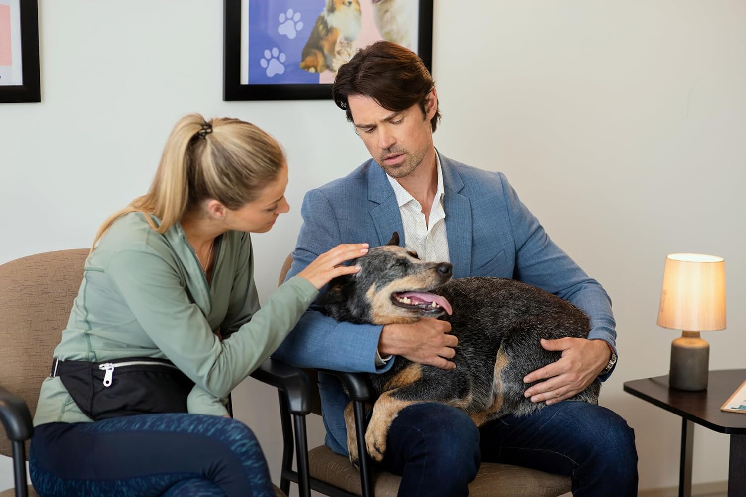 Hallmark Channel 2-Movie Collection: Love In Glacier National: A National Park Romance And The Dog Lover's Guide To Dating