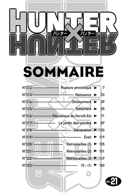 Hunter X Hunter - Tome 21