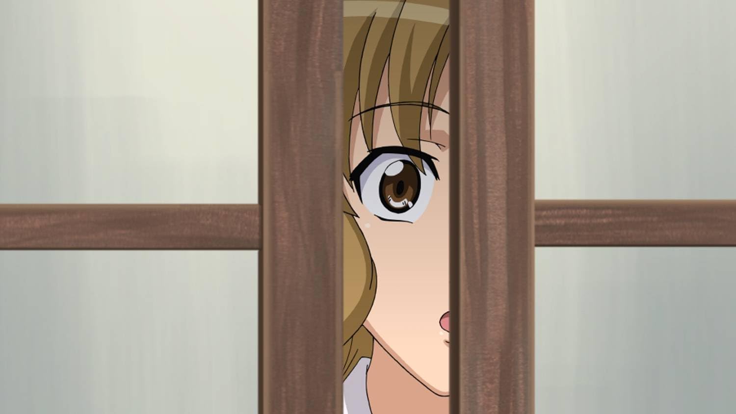 Hentai Collection Vol. 03 (3 Filme)