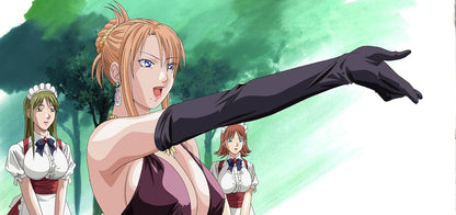 Hentai Collection Vol. 04 (3 Filme)