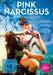 Pink Narcissus (Neuauflage