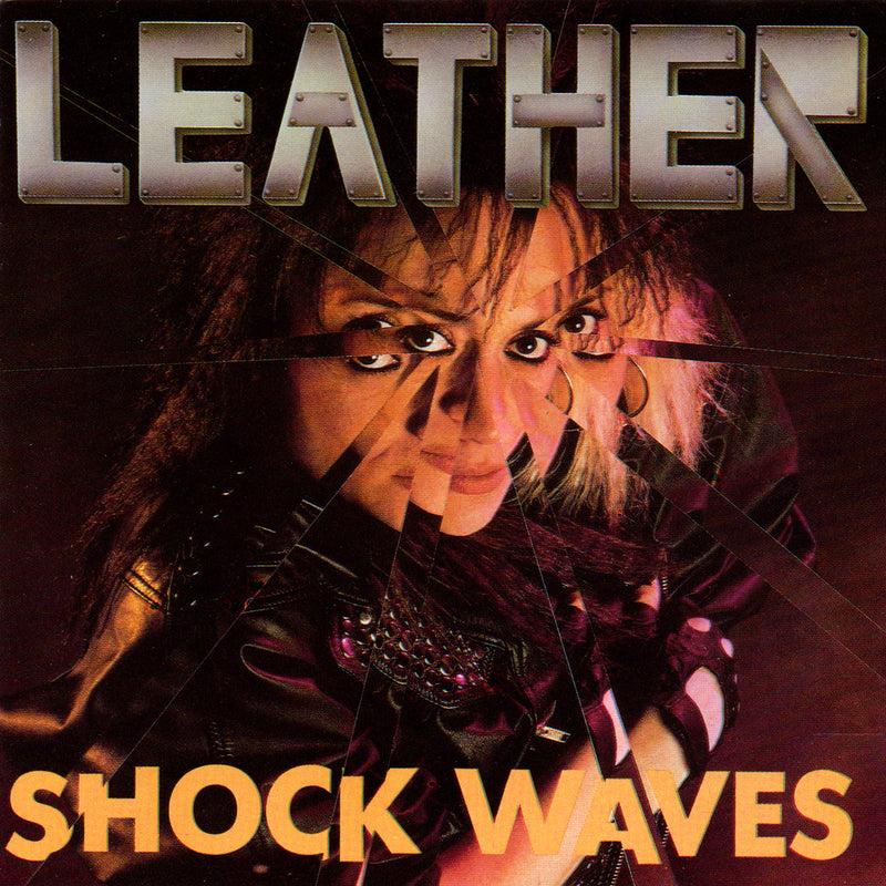 Shock Waves
