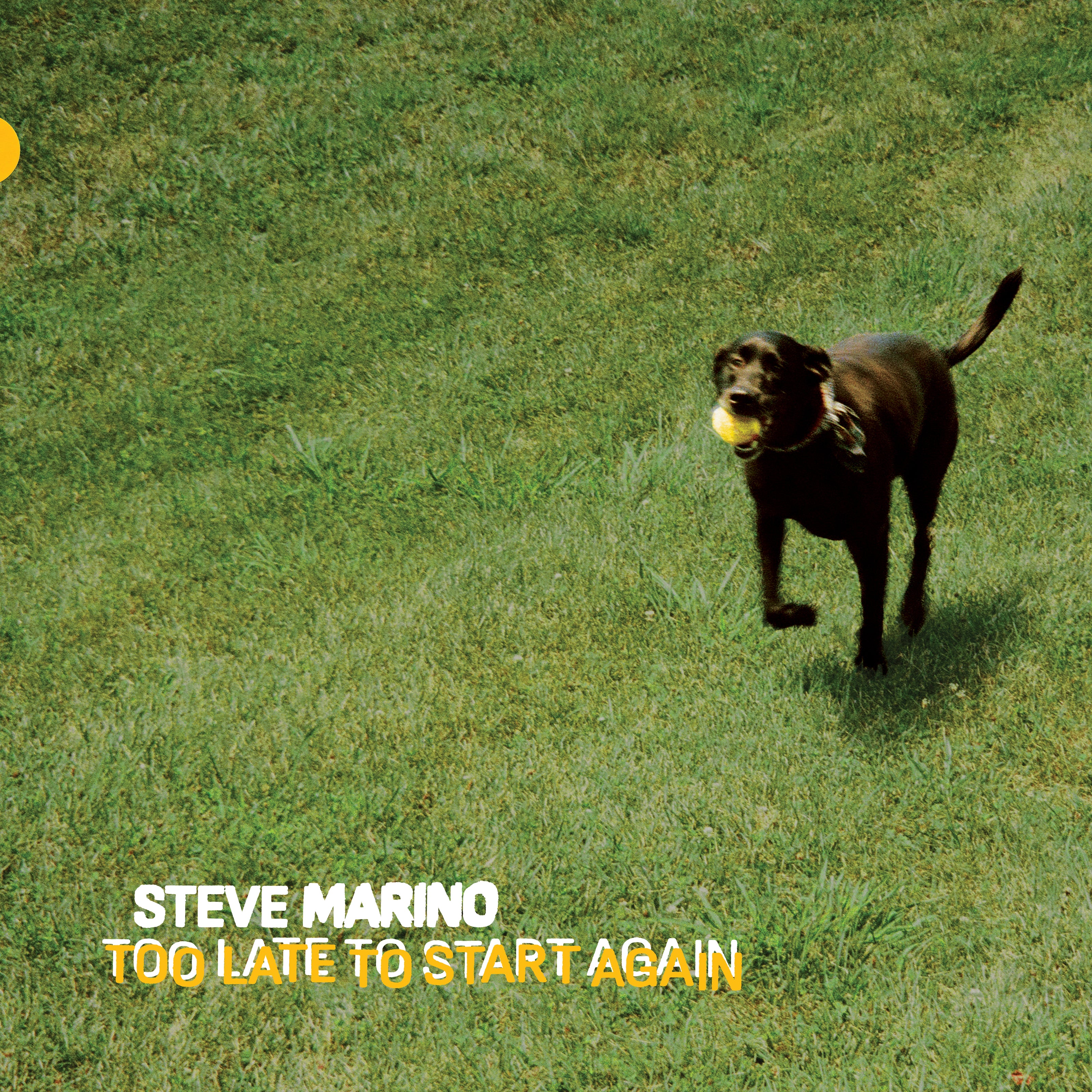 Too Late to Start Again