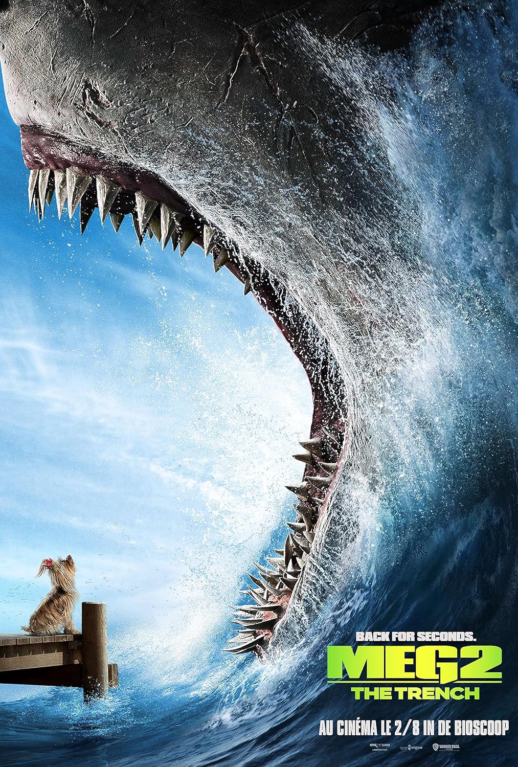 THE MEG 2 DVD ( NL Versie