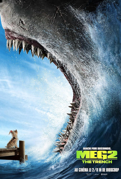 THE MEG 2 DVD ( NL Versie