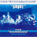 Shout!!