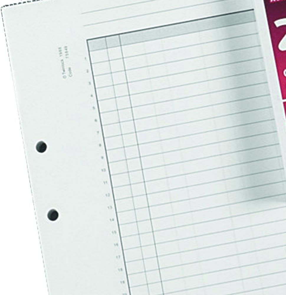 Rexel Twinlock 3C Crown - Hojas para libro de contabilidad dobles (100 unidades
